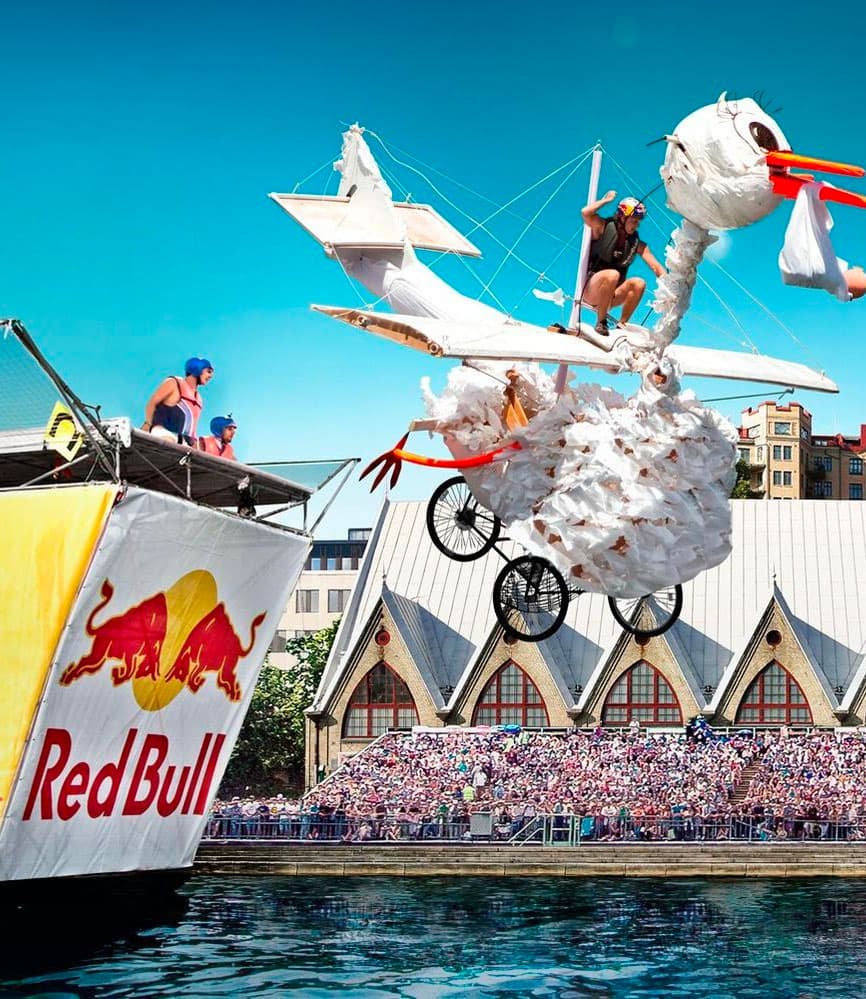Man in a home-built aeroplane at Red Bull Flugtag